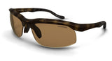 Tenaya Peak Dark Tortoise