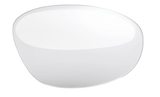 Clear Lens
